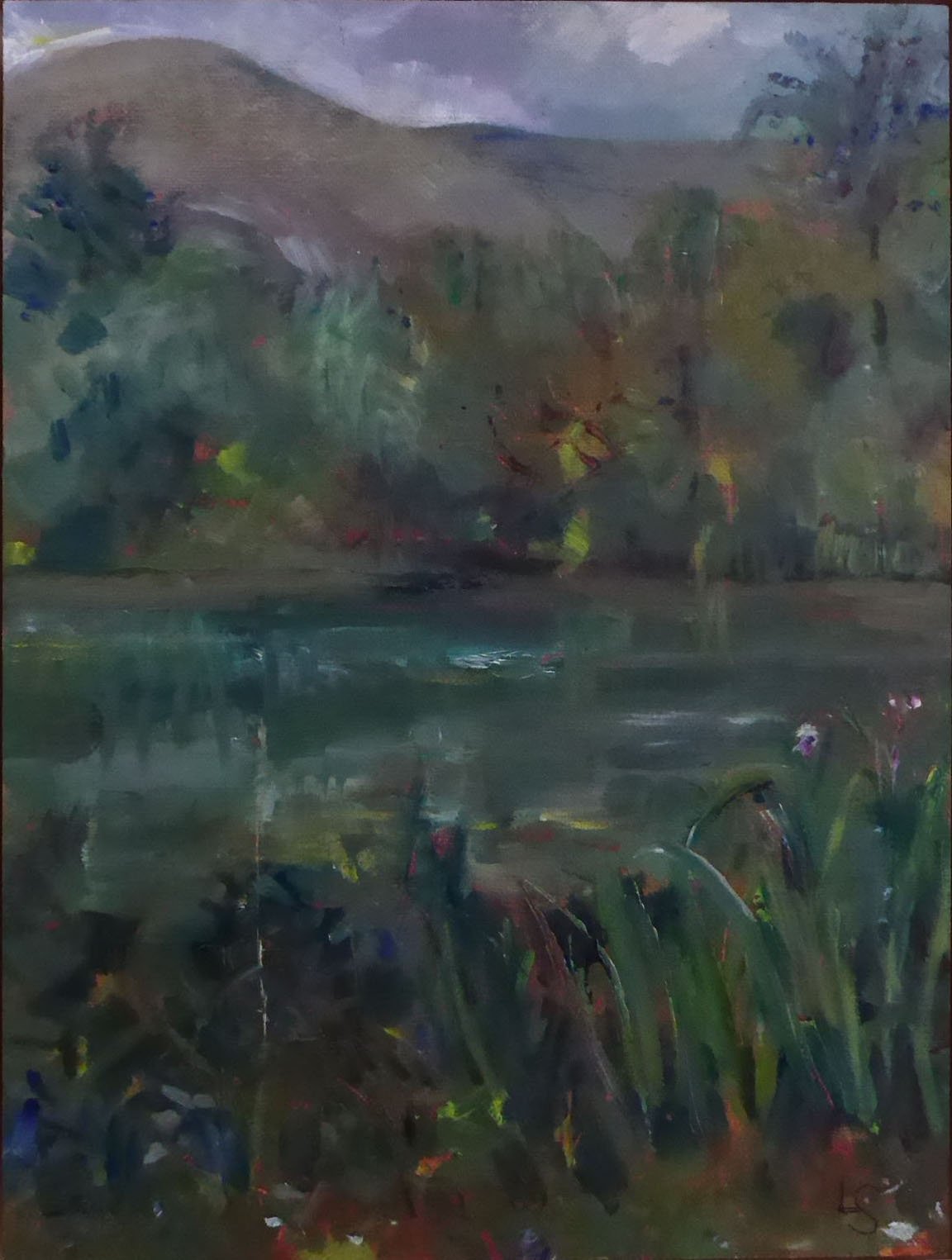 Linda Sheridan 05 - SOLD - THE TRILLS OF LITTLE GREBES - HIGH POND, PENICUIK HOUSE