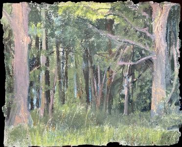 Linda Sheridan YELLOWCRAIG PLANTATION I